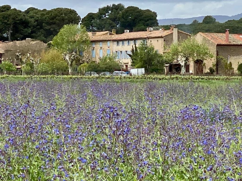 Le Relais D'Affiac Acomodação com café da manhã Peyriac-Minervois Exterior foto