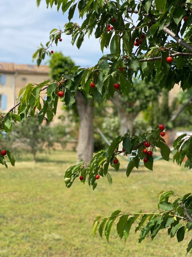 Le Relais D'Affiac Acomodação com café da manhã Peyriac-Minervois Exterior foto
